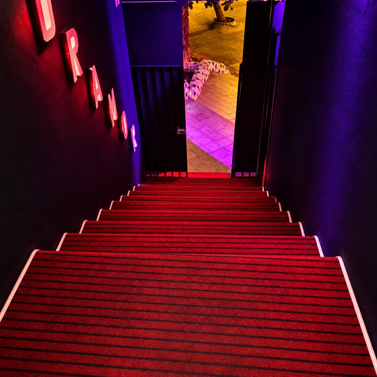 Red carpet staircase from the street